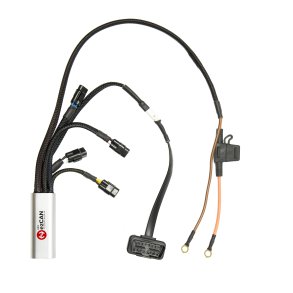 HEX ezCAN II Tagus for Triumph