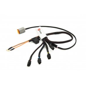 HEX ezCAN II for Harley Davidson